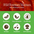 12 (25oz 2-Pack) Sauz Wild Rosemary Marinara Sauce | Clean Ingredients, No Seed Oils, Gluten-Free | Fresh & Earthy