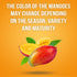 1 lb. Dried Mango Slices Juicy & Delicious, No Added Sugar, Non-GMO, Healthy Snack, Bulk Resealable Bag, Just About