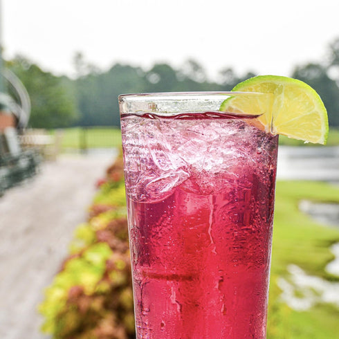 Owen’s Craft Mixers | 4 Pack Transfusion Mix | Vegan & Gluten-Free Soda Mocktail and Cocktail Mixer | Handcrafted in