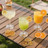 3-Pack LIME,9oz With10 1 Dehydrated ORANGE,LEMON & total,Premium Craft Cocktail Garnish Pcs Drink Umbrellas Picks