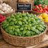 Generic (1 Lb) Fresh Sweet Basil Fragrant, Flavorful, and Farm-Harvested