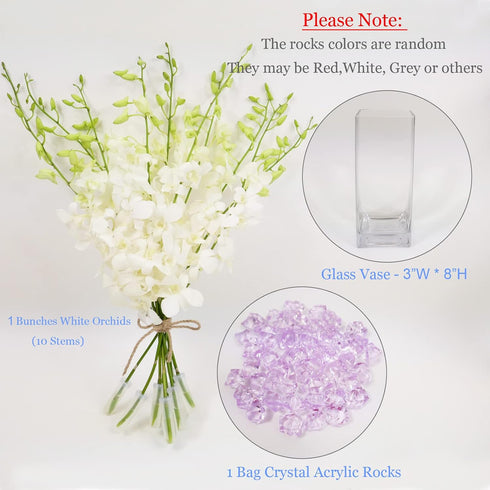 10 Athenas Garden Fresh Cut White Orchids Stems Dendrobium Orchids Flowers with Vase and Rocks
