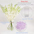 10 Athenas Garden Fresh Cut White Orchids Stems Dendrobium Orchids Flowers with Vase and Rocks
