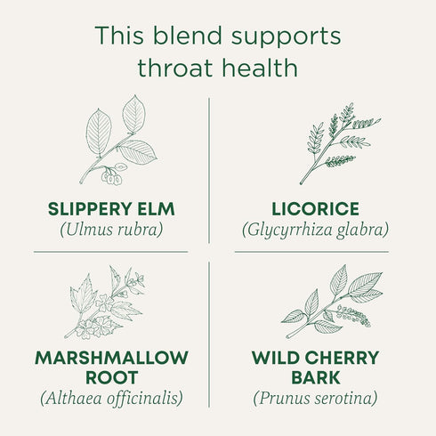 96 (6 Pack) Traditional Medicinals Tea, Organic Throat Coat, Supports Throat Health, Tea Bags