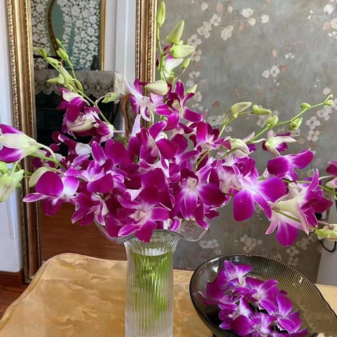 20 Stems purple orchids fresh cut flower gift birthday anniversary Valentine's Day flowers Dendrobium orchid