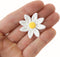 18 Count Edible Daisy Cake Decorations, Small Edible Flowers, White & Yellow