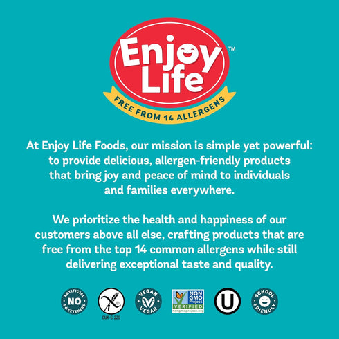 9 oz Enjoy Life Ricemilk Baking Morsels, Bag