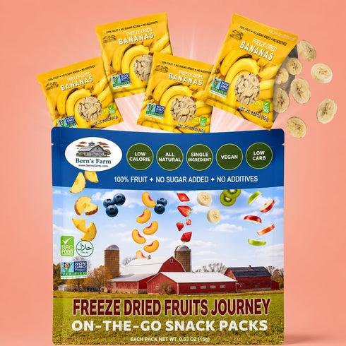 4 (0.53 oz Freeze-Dried Banana Chips Healthy, Gluten-Free, No Sugar Added, Crispy & Delicious Fruit Snacks for Kids