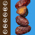 (10 Pack) Realsy Peanut Butter Stuffed Medjool Dates, Organic Dates with No Sugar Added, Gluten-Free, Vegan, Good