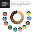 2.0 100 Count Happy Belly an Amazon Brand -Medium Roast Coffee Pods, House Blend, Compatible with Keurig K-Cup Brewers