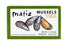 Matiz España Mussels in Extra Virgin Olive Oil & Apple Cider Vinegar, 3.92 oz - Handcrafted in Galicia, Spain