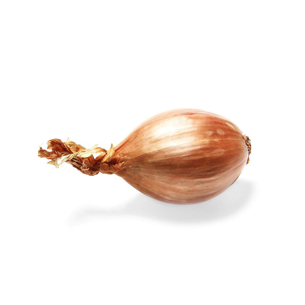 Produce (Brands May Vary) Onion Shallot Organic, 3 Ounce