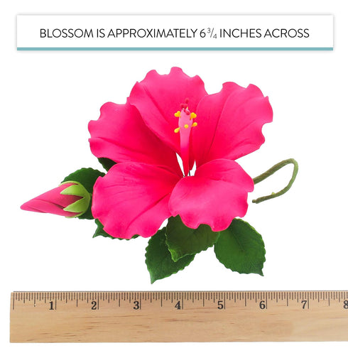 Global Sugar Art Hibiscus Sugar Cake Flower Spray, Hot Pink Hawaiian Cake Flower, 1 Count by Chef Alan Tetreault