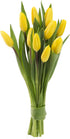 KaBloom - Bouquet of Fresh Yellow Tulips (Farm-Fresh, Cut-to-Order and Homegrown in