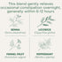 96 (6 Pack) Traditional Medicinals Tea, Organic Smooth Move Peppermint, Relieves Occasional Constipation, Senna, Tea