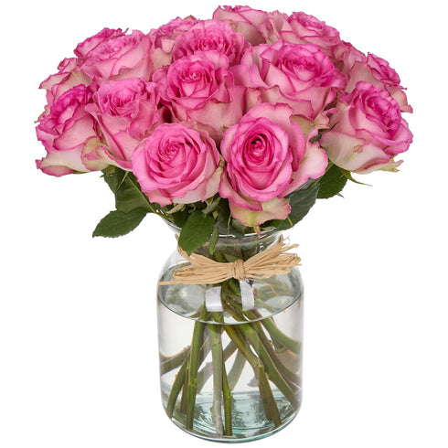 Falcon Farms Inc 18 Pink Roses Bouquet Fresh Cut Flowers-Lasting Roses for Gifts, Birthdays &