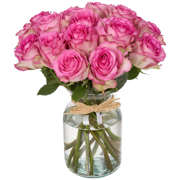 Falcon Farms Inc 18 Pink Roses Bouquet Fresh Cut Flowers-Lasting Roses for Gifts, Birthdays &