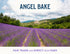 Pure Bulgarian Lavender Extract for Baking and Mixology, Keto Friendly, Vegan, Gluten Free (Lavender, 2 Oz)