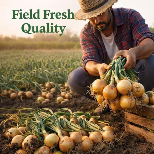 Generic 2 lb Fresh Yellow Onions Bag, Farm Fresh Whole Onions, Premium Quality, Sweet & Mild Flavor, Perfect
