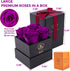 Impouo Preserved Roses Red + Purple Bundle, Flowers for Delivery Prime - Roses in a Box - Real Roses That Last a Year