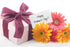 ComfortneSS 1955 Mascot Pecan Candy Kitchen Since - Snowman Gift Tin Basket Full of Fresh Roasted Pecans, Milk