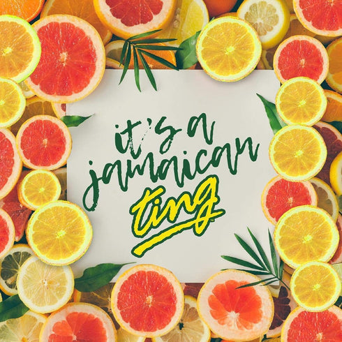 D&G Ting 20oz (Pack 10, 200 Oz) Ting, Sparkling Jamaican Grapefruit Flavored Beverage, Bottle of Total of Fl