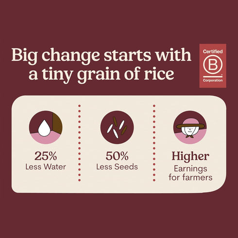 100% (7oz, 6-Pack) Jasberry Organic Rice - Superfood with High Antioxidants, Ready to Eat or Heat, Jasberry Rice