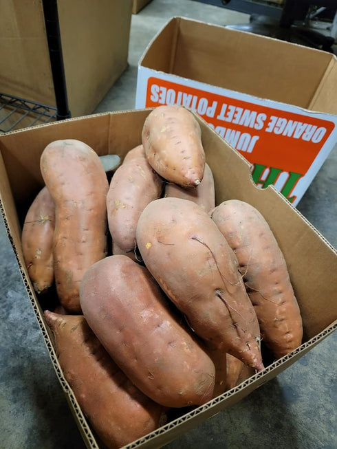 Farm Fresh 20lbs NC Sweet Potatoes Appx