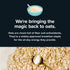 (6 Pack) Mushroom Overnight Oats Superfood Lions Mane Mushroom, Chia & Flax Seed - Organic Protein Oatmeal - High