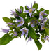 10 Next day delivery Fresh Lron Wire Lotus Mixed Bouquets with Budding Flowers Perfect Home Gift for Birthdays