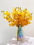 15 Stems of Fresh Orange Orchids - Perfect Gift for Any Occasion