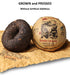 Jinglong Tea Factory Puerh Tea Tuocha Jumbo Dragon, Ripe Pu-erh, 40 Cups, 3.6 Ounce