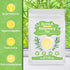 1.5g 60 Count Olvvla - Rosemary Tea Bags - X - Pure Natural Dried Rosemary Leaves - Cultivated in Egypt - Non-GMO