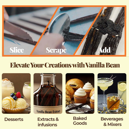 25 ~6-8 inches Whole Vanilla Beans Grade A ++ | Premium Vanilla Bean Pods for Making Extract | |NON GMO. Perfect