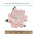 3 Count Global Sugar Art Protea Sugar Cake Flowers Medium Pink, by Chef Alan Tetreault