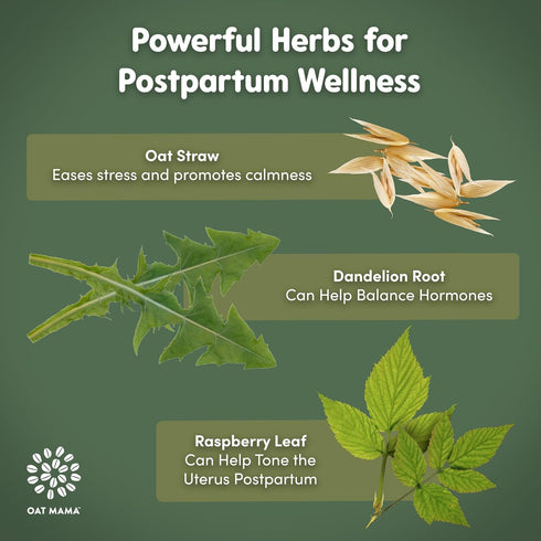 OAT MAMA Flavored Postpartum Recovery Tea - Delicious Spiced Pear & Cinnamon Flavor | Calming & Healing Tea for Hormone