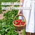Ternio -8.8oz/250g 8 8mm 100% Premium Freeze Dried Strawberries - Large Pieces * - Natural Fruit - Healthy Freeze Dried