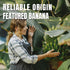 Ternio 7.76 oz 220 100% Premium Freeze Dried Bananas - / g - Natural, No Preservatives, Low Calorie Snack - A Sweet