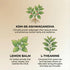 (12 Pack) Zenjoy Stress Relief Drink, Calming Black Tea, Non Alcoholic, Ashwagandha & Lemon Balm for Stress Relief, L
