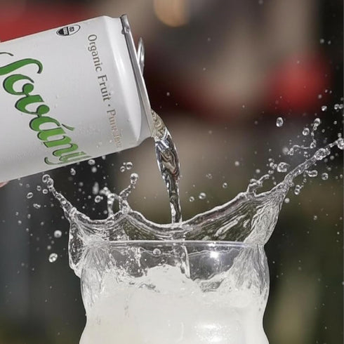 12 oz, 12 Pack Sovny Sparkling Water, Green Apple, Seltzer Water Drinks, USDA Organic, Made With Real Fruit, Non-GMO
