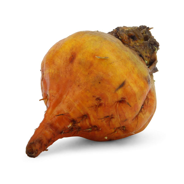 HJZWTS Root Beet Golden Organic, 1 Each