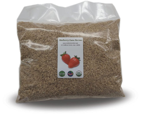 Mulberry Lane Farms Brown Rice 5 Pounds Long Grain, USDA Certified Organic Non-GMO Bulk, Product