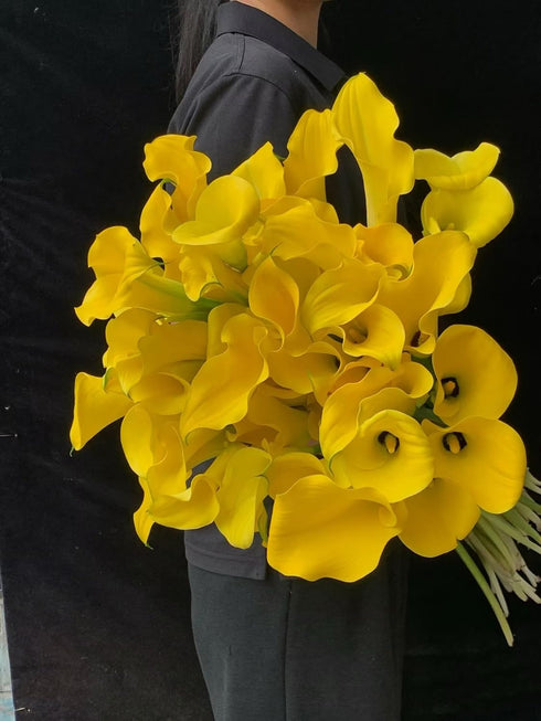Cassiolina 10 Stems Fresh Calla Lily Flowers Elegant Long Stem Flower Bouquet for Vase Home Decor Wedding Party Floral