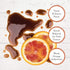 5.07 Pack 3 Roland Foods Blood Orange Balsamic Vinegar Glaze, Ounce Bottle
