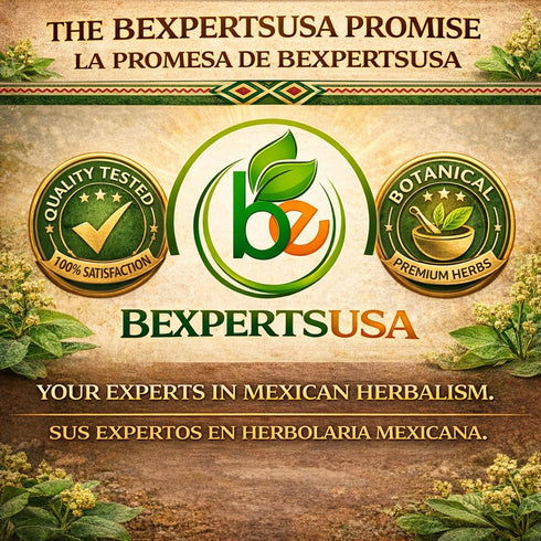 (4 oz) 100% Moronel Herbal Tea - Premium "Planta de la Vida" (Synadenium grantii) - Wildcrafted Loose Leaf Tea from