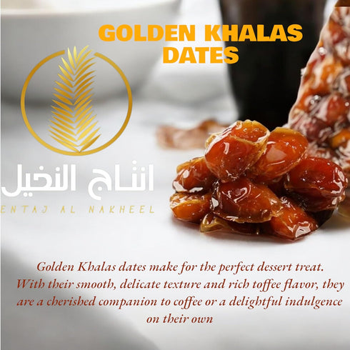 Generic 4 PACK-BOX 8.8 lbs Golden Khalas Saudi Dates Premium, Juicy & Naturally Sweet | Soft Texture, High Fiber