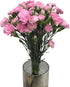 19 Stems Pink Mini Carnations Fresh Cut Flower Bouquet Gifts for Birthday Anniversary Friendship and Love