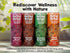 4 10 (16 Pack) Melting Forest Functional Mocktail - Variety Flavors - Alcohol-Free, Euphoric Adaptogen Drink
