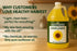 Healthy Harvest Non-GMO Sunflower Oil - Healthy Cooking Oil for Cooking, Baking, Frying & More - Naturally Processed