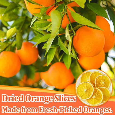 4.23oz Dried Orange Slices, Dehydrated Orange Slices for Cocktail Garnish and Mixology, No Sugar Added Natural Dried